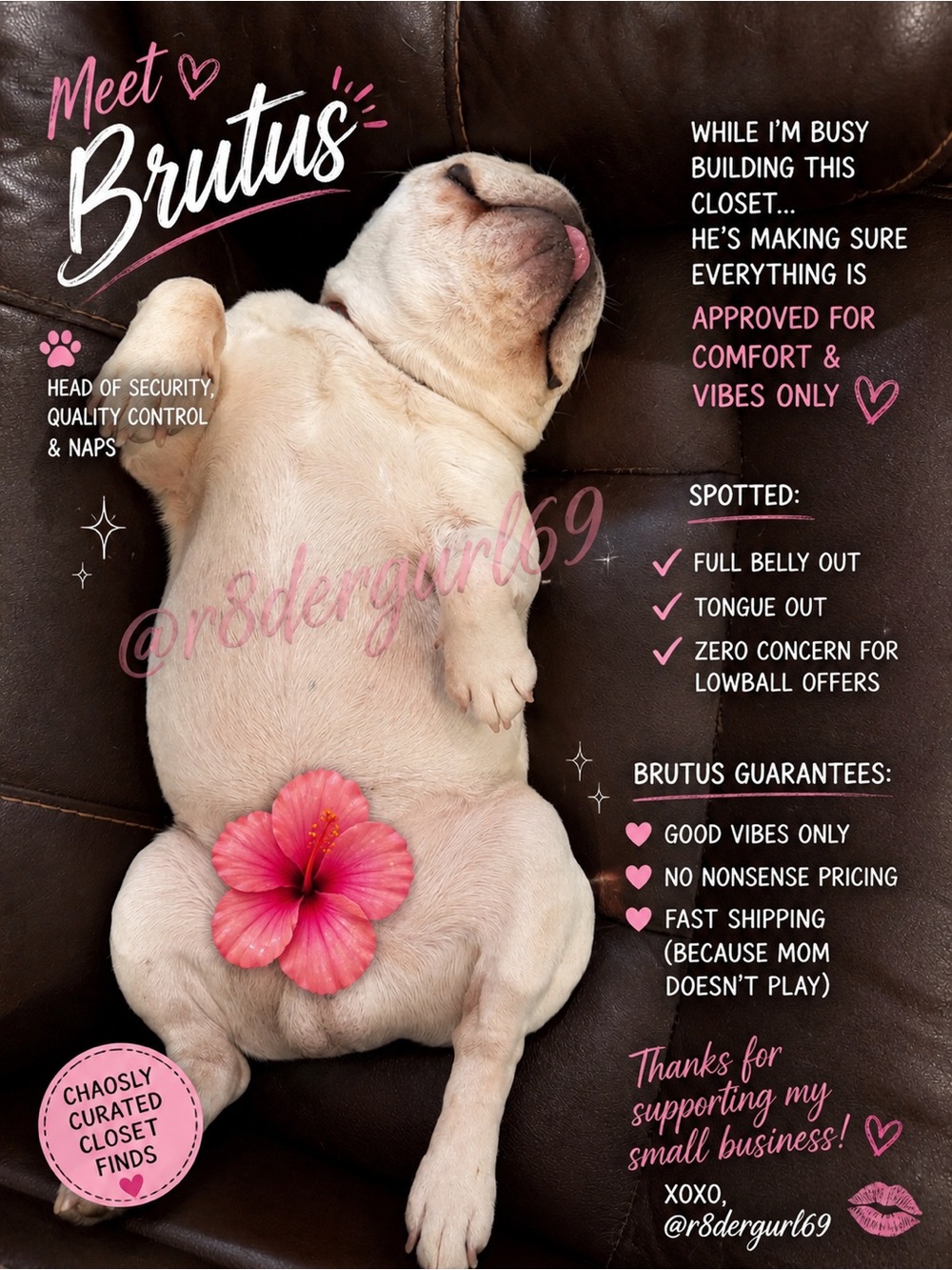 Closet Mascot French Bulldog Brutus | Chaosly Curated Vibes Only